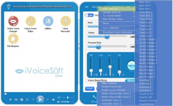 voice changer for skype