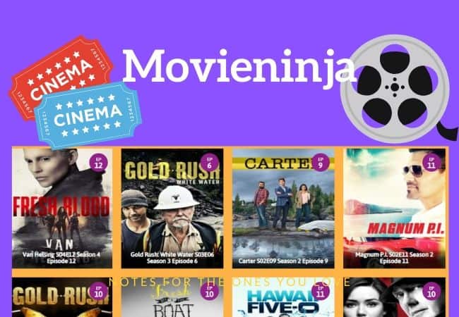 MovieNinja Alternatives