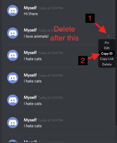 Delete Messages in Discord