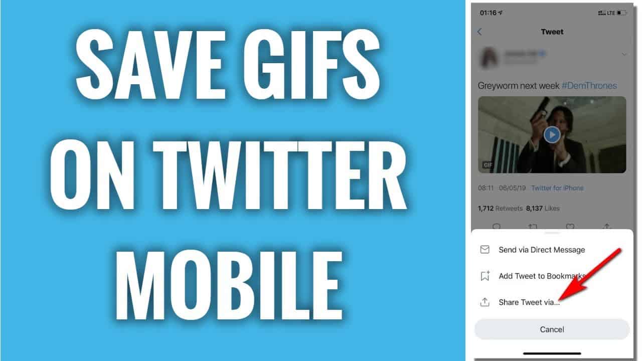 Save GIFs From Twitter