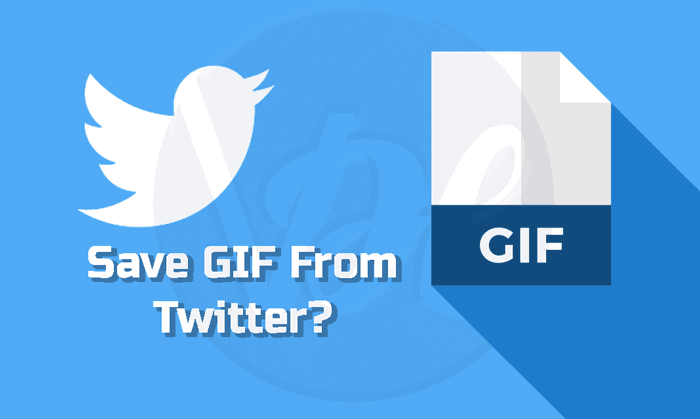 Save GIFs from Twitter