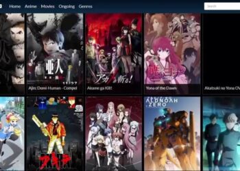 35 Best AnimeRhino Alternatives To Watch Anime For Free