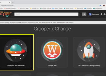 grooper