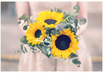 Can You Give a Bouquet of Sunflowers As a Gift