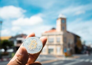 Does Bitcoin Work for Developing Countries?