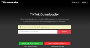 TikTokDownloader