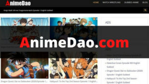 AnimeDao