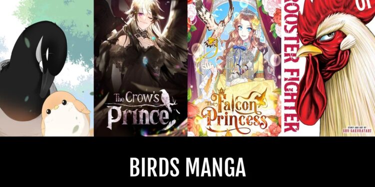 This is another Manga Bird Alternatives.