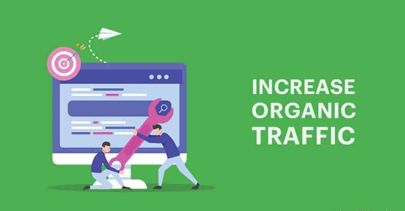 Organic Traffic Strategy