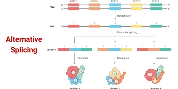 Splice Alternatives