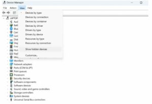 Click on the View tab and select Show hidden device