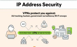 How can I check which type of IP address I'm using