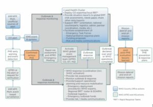 A process flow diagram