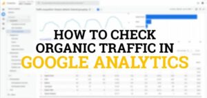 What Is Organic Traffic In Google Analytics
