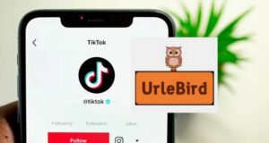 Urlebird Pros Cons 