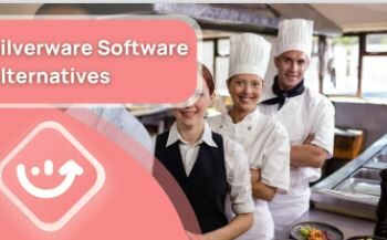 silverware alternatives